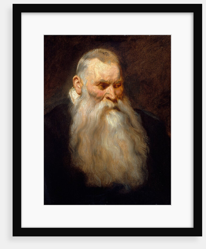 Study Head of an Old Man with a White Beard, ca. 1617-20 by Anthony van Dyck