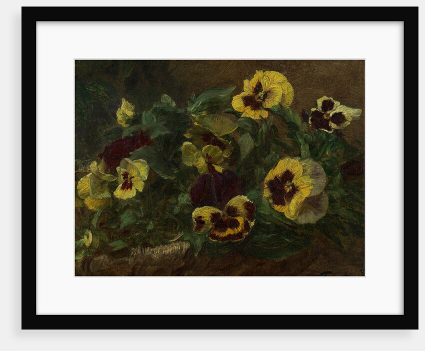 Pansies, 1903 by Henri Fantin-Latour