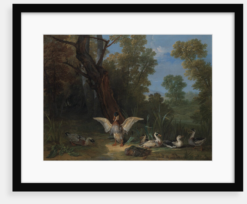 Ducks Resting in Sunshine, 1753 by Jean-Baptiste Oudry