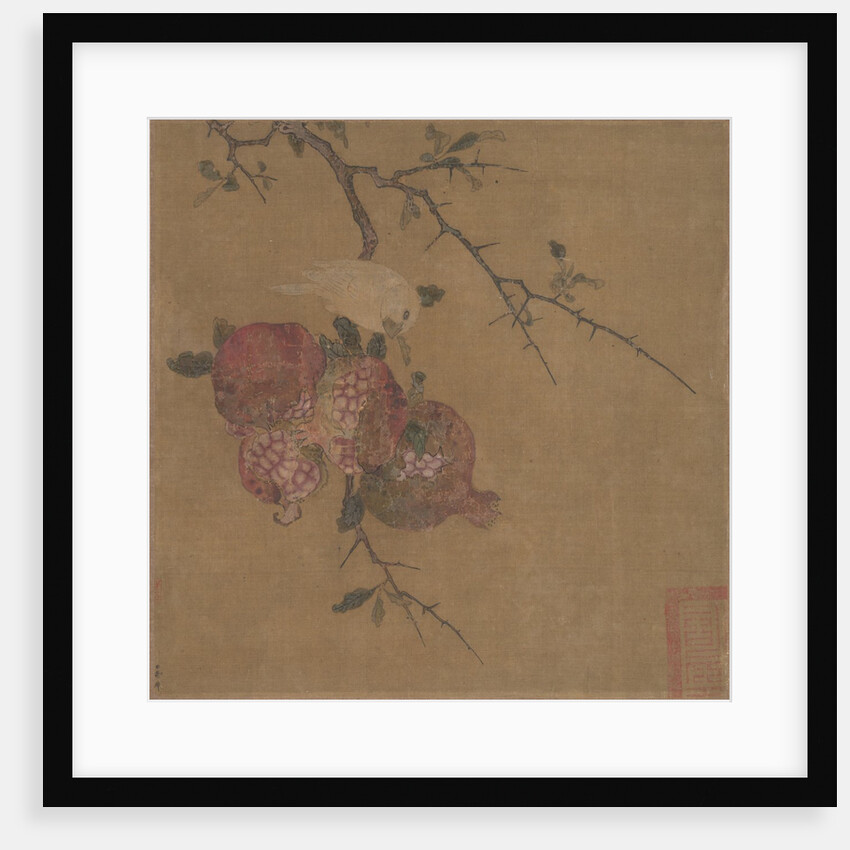 Pomegranates by Unknown