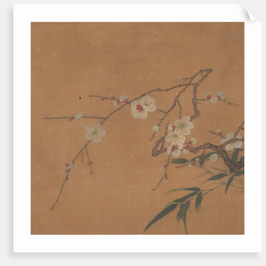 Flowering Plum and Bamboo, 17th century by Unknown