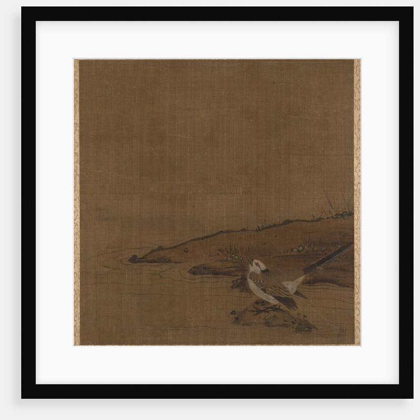 Bird Near Water by Unknown