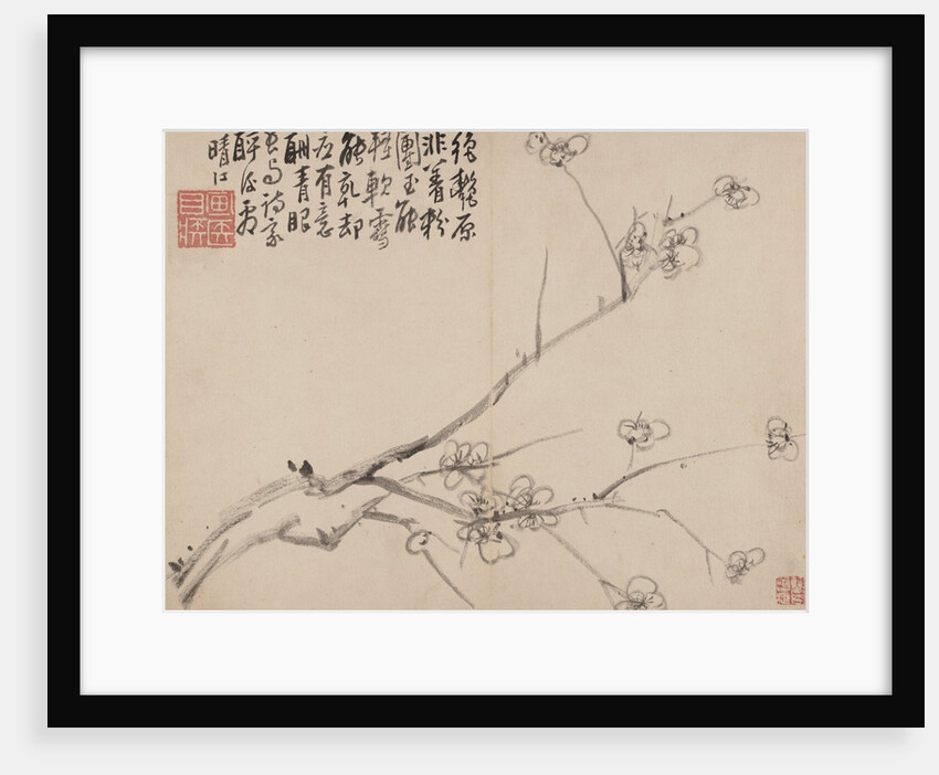 Album of Blossoming Plum, 1742 by Li Fangying