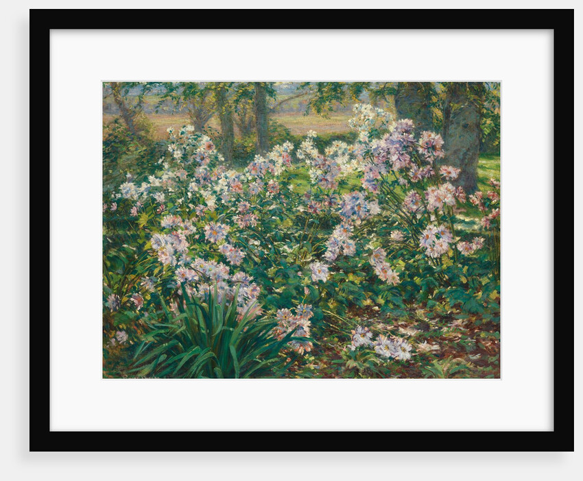 Windflowers, 1912 by Gaines Ruger Donoho