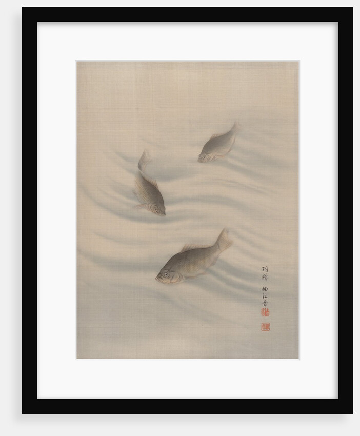 Fishes Swimming, ca. 1890-92 by Seki Shuko