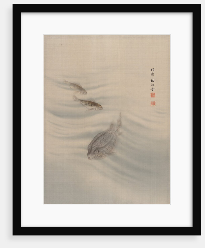 Fishes, ca. 1890-92 by Seki Shuko