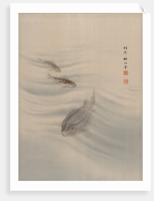 Fishes, ca. 1890-92 by Seki Shuko