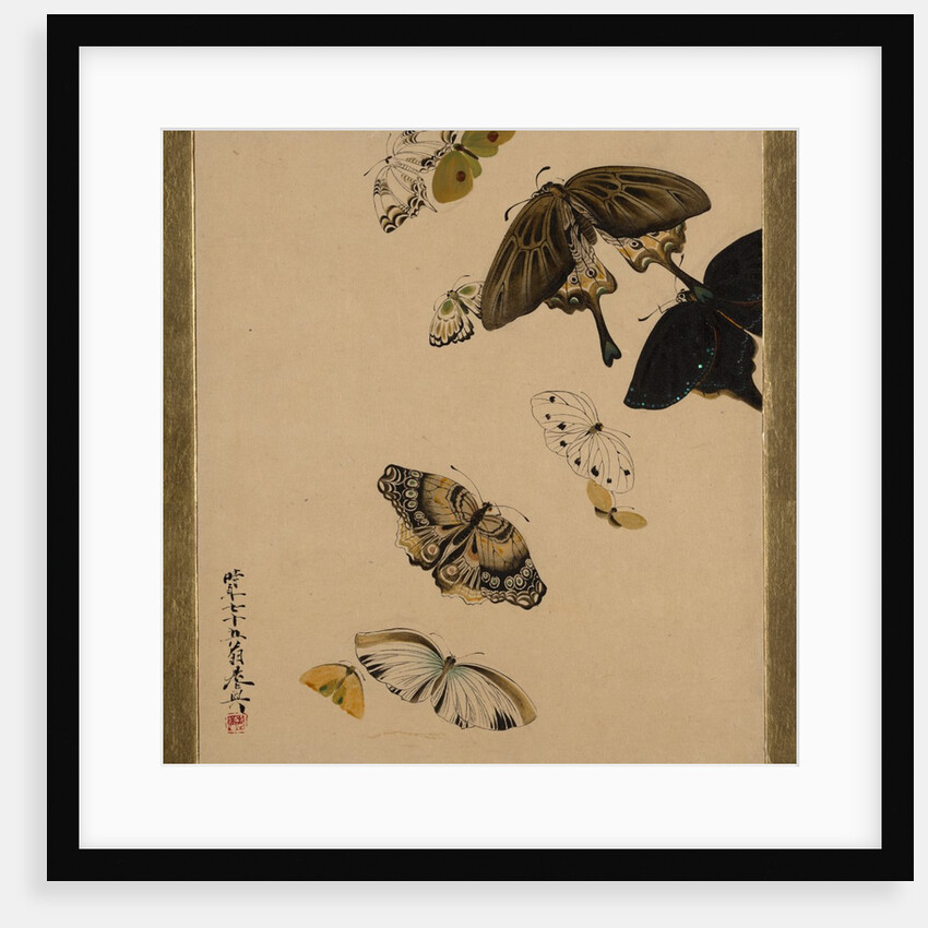 Lacquer Paintings of Various Subjects: Butterflies, dated 1881 by Shibata Zeshin