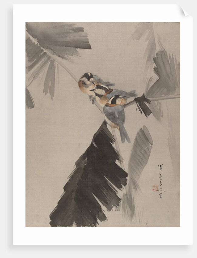 Three Birds on Branch, ca. 1887 by Watanabe Seitei