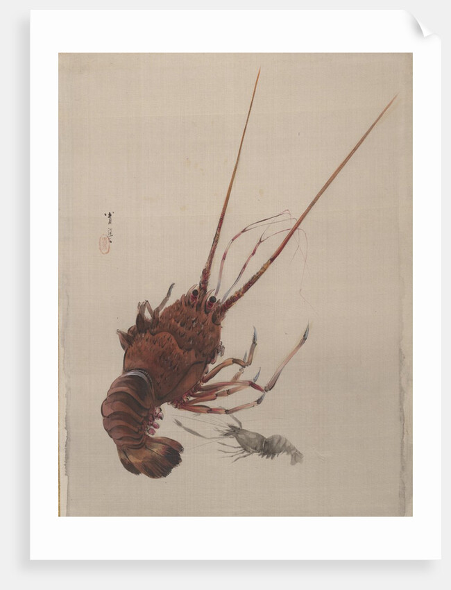 Crayfish, ca. 1887 by Watanabe Seitei