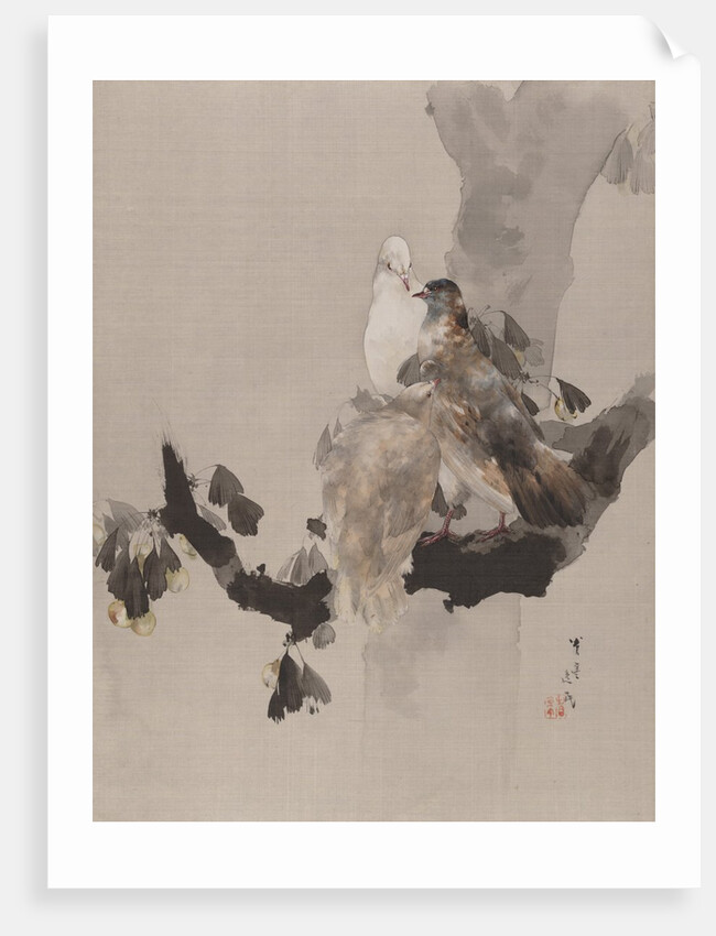 Pigeons in a Tree, ca. 1887 by Watanabe Seitei