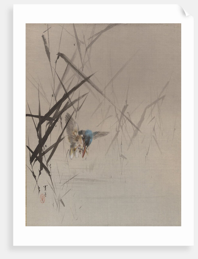 Bird Catching Fish Among Reeds, ca. 1887 by Watanabe Seitei