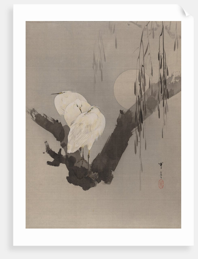 Egrets in a Tree at Night, ca. 1887 by Watanabe Seitei