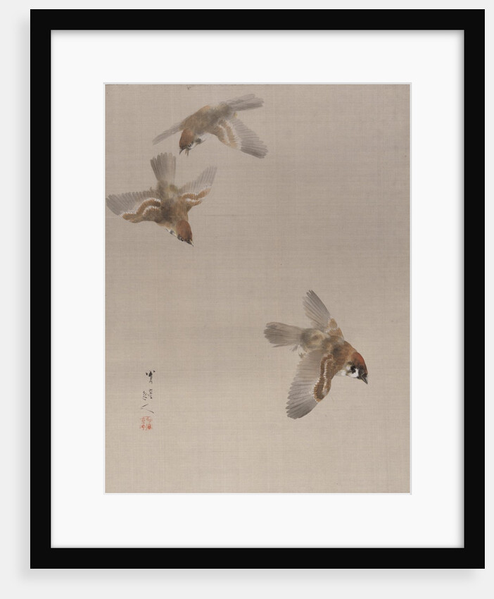 Sparrows Flying, ca. 1887 by Watanabe Seitei