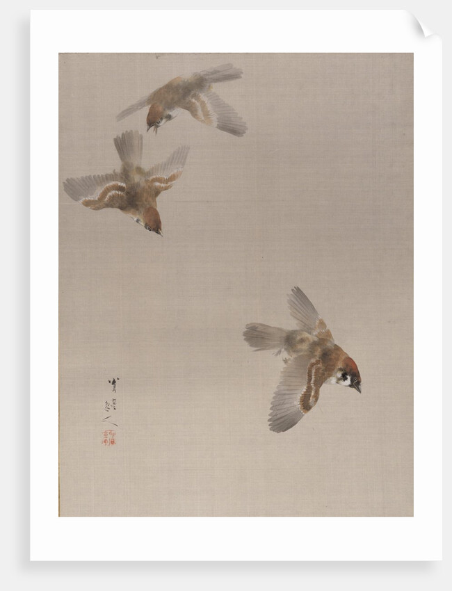 Sparrows Flying, ca. 1887 by Watanabe Seitei