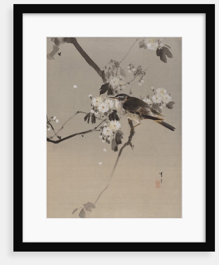 Birds on a Flowering Branch, ca. 1887 by Watanabe Seitei