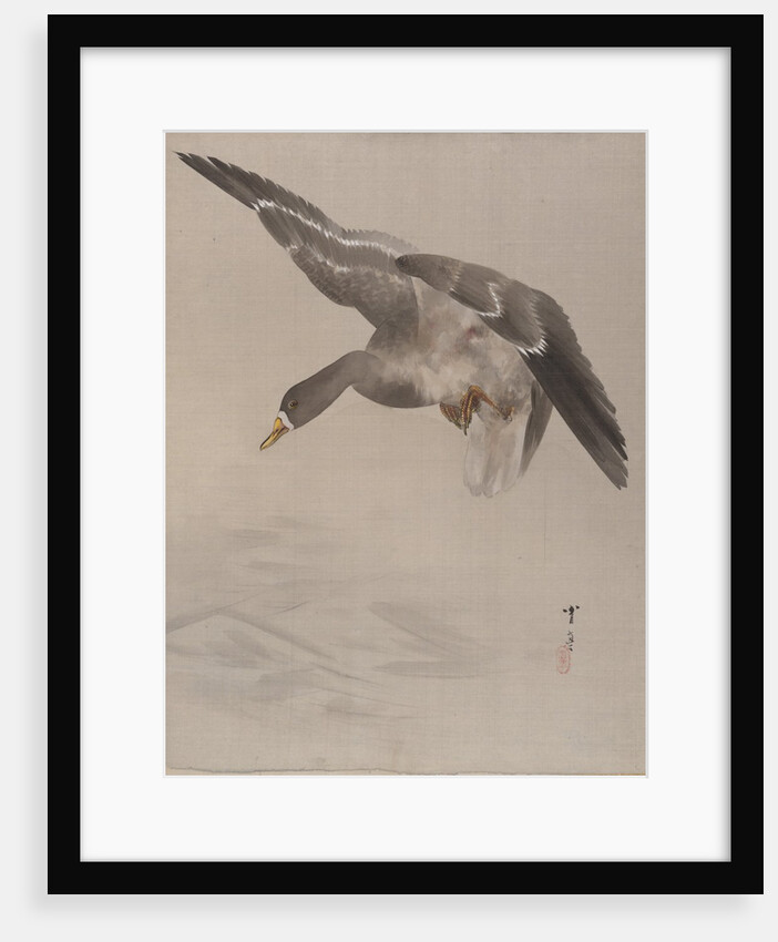 Duck, ca. 1887 by Watanabe Seitei