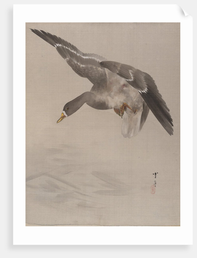 Duck, ca. 1887 by Watanabe Seitei