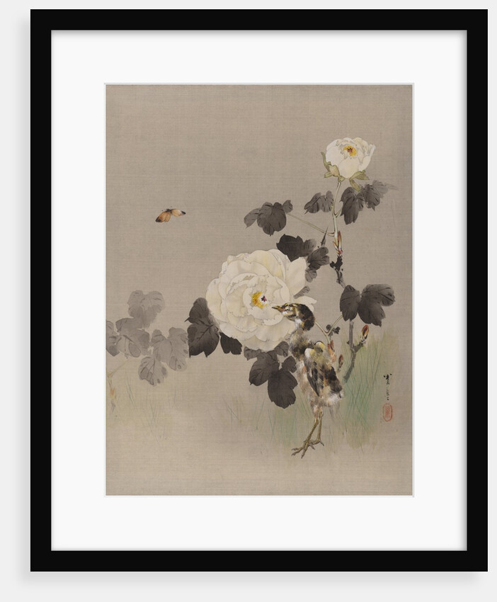 Roses, Young Bird and a Butterfly, ca. 1887 by Watanabe Seitei
