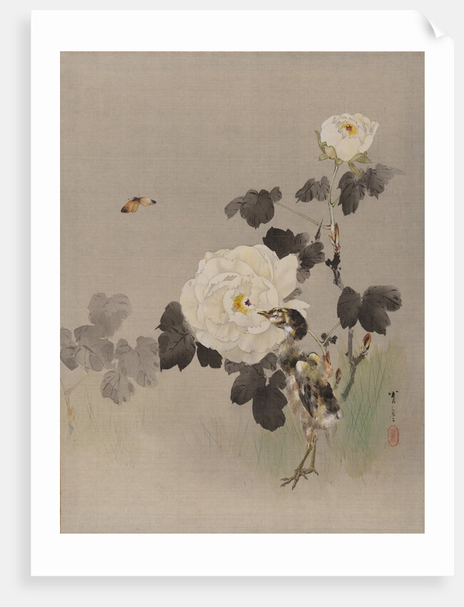 Roses, Young Bird and a Butterfly, ca. 1887 by Watanabe Seitei