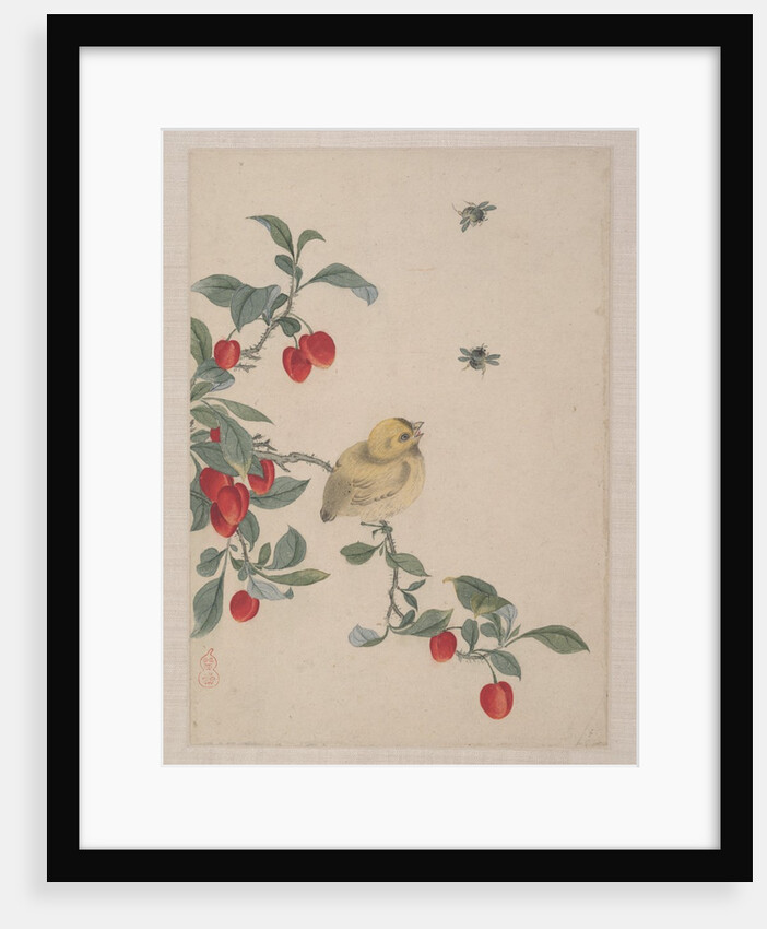 Birds, Insects and Flowers, 19th century by Yi Zhai