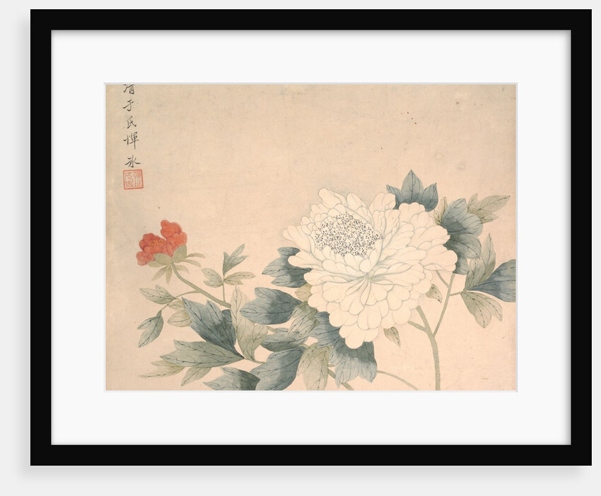 Flower Study, 17th century by Yun Bing