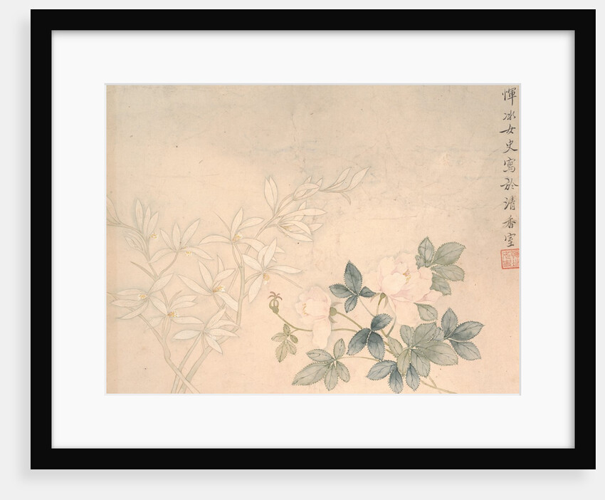 Flower Study, 17th century by Yun Bing