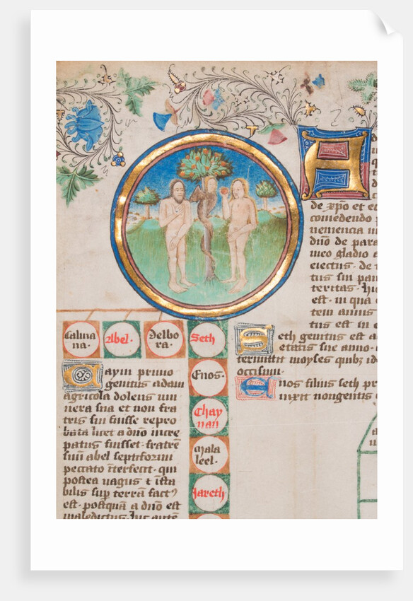 Genealogical Chronicle of the Kings of England, 1466-67 by Unknown
