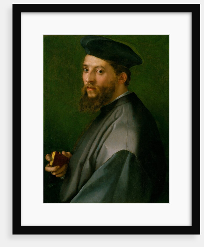 Portrait of a Man, 1528-30 by Andrea del Sarto