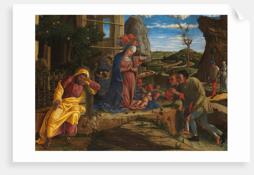 The Adoration of the Shepherds, shortly after 1450 by Andrea Mantegna