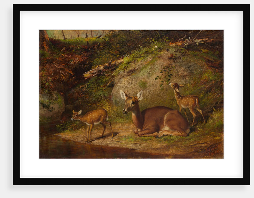 Doe and Two Fawns, 1882 by Arthur Fitzwilliam Tait