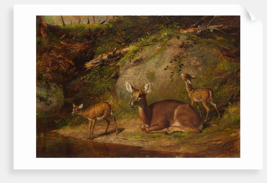 Doe and Two Fawns, 1882 by Arthur Fitzwilliam Tait