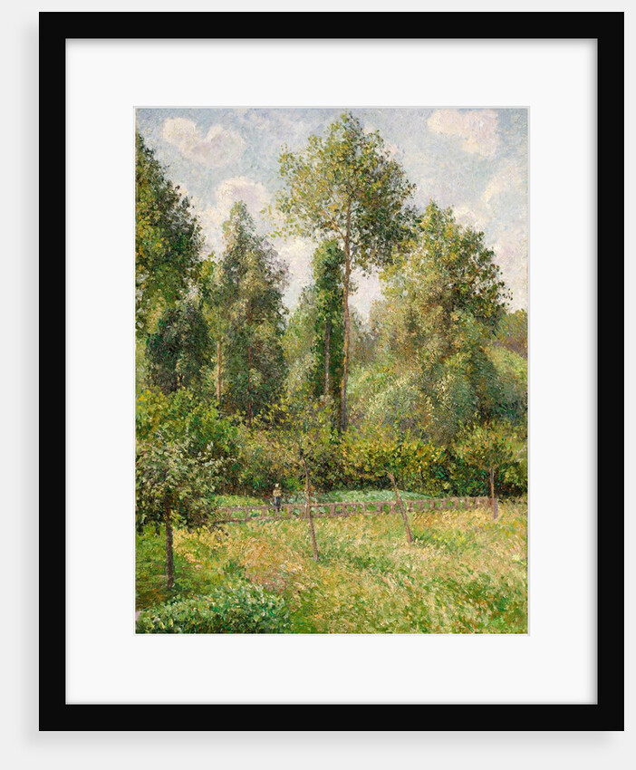 Poplars, Éragny, 1895 by Camille Pissarro