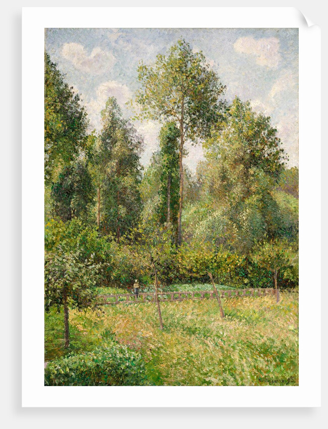 Poplars, Éragny, 1895 by Camille Pissarro
