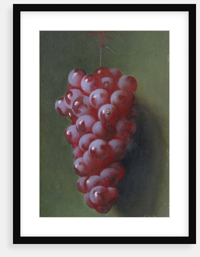 Still Life with Grapes by Carducius Plantagenet Ream