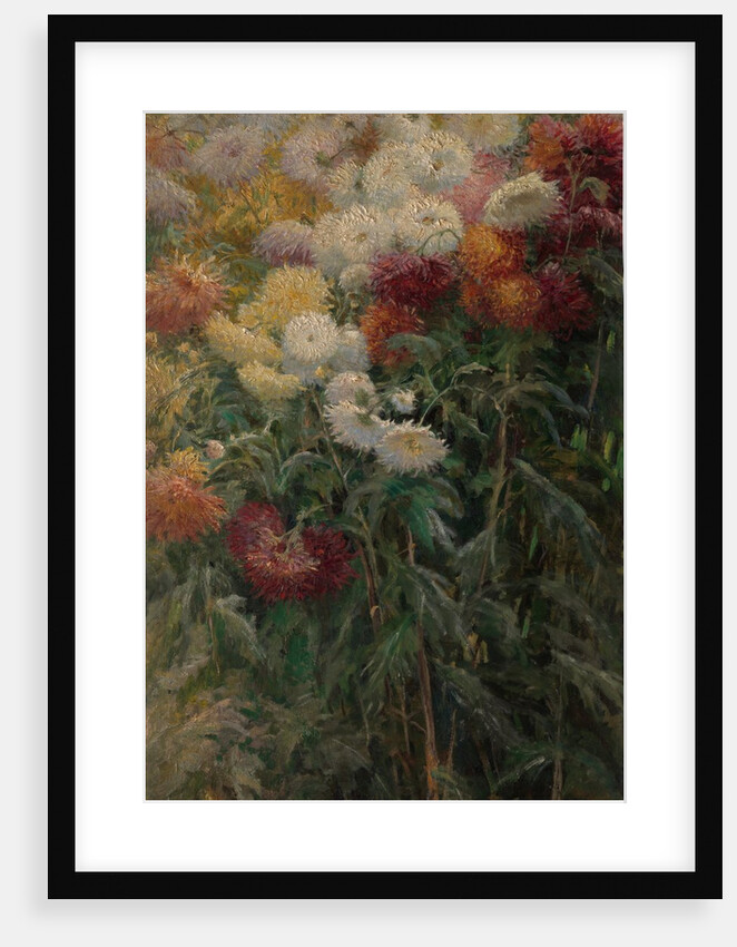 Chrysanthemums in the Garden at Petit-Gennevilliers, 1893 by Gustave Caillebotte