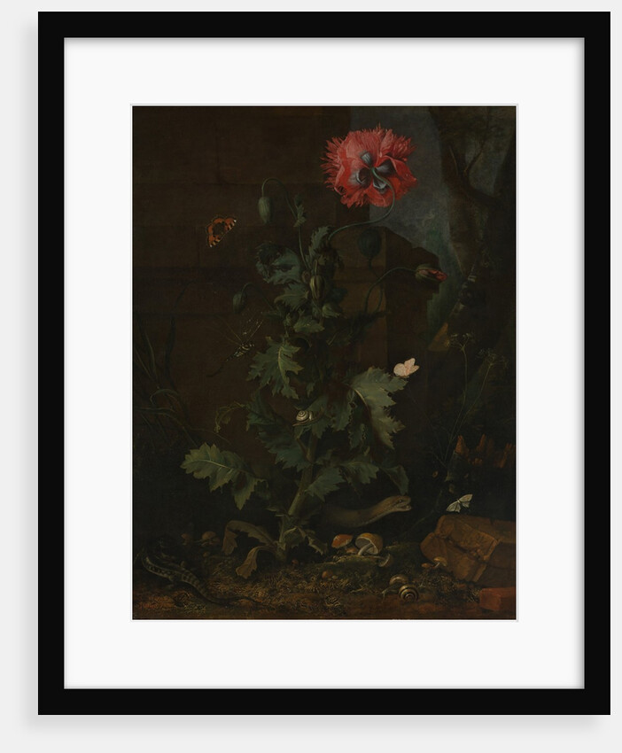 Still Life with Poppy, Insects, and Reptiles, ca. 1670 by Otto Marseus van Schrieck