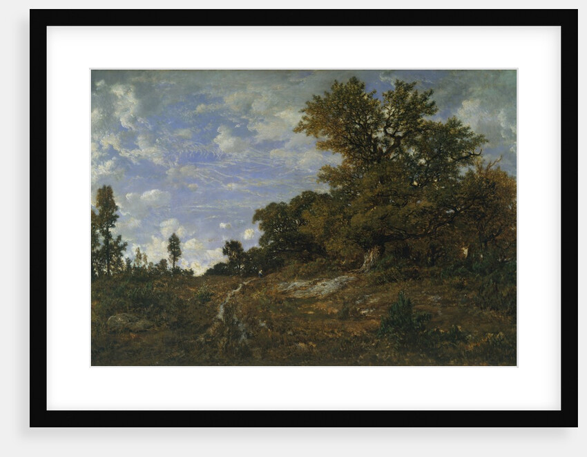 The Edge of the Woods at Monts-Girard, Fontainebleau Forest, 1852-54 by Theodore Rousseau