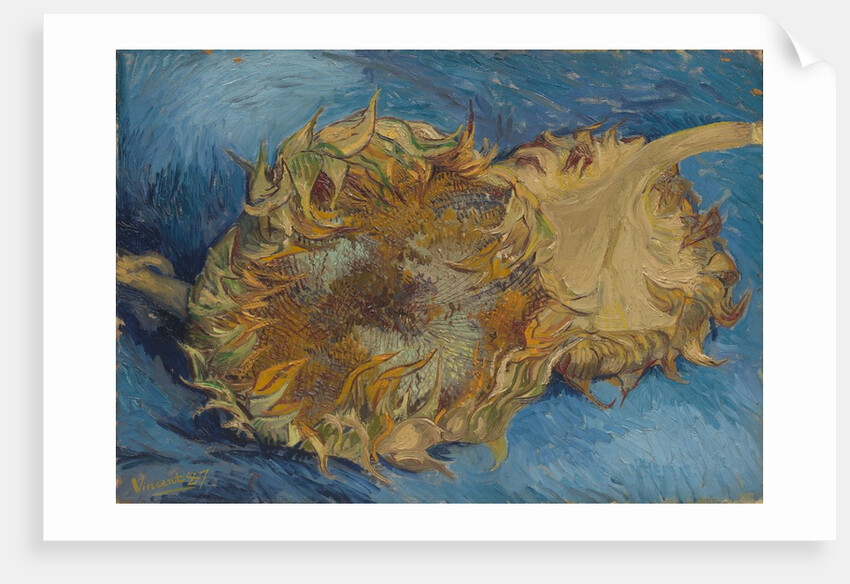 Sunflowers, 1887 by Vincent van Gogh