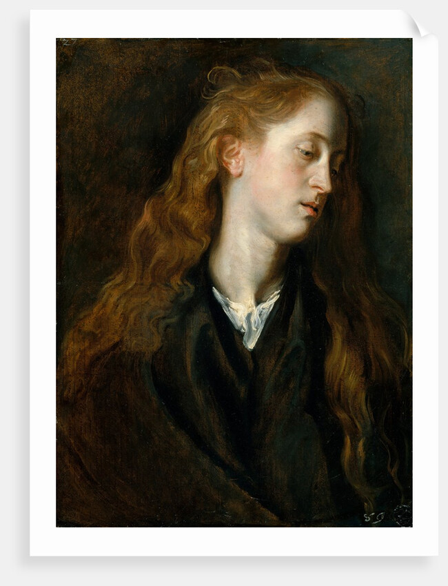Study Head of a Young Woman, ca. 1618-20 by Anthony van Dyck