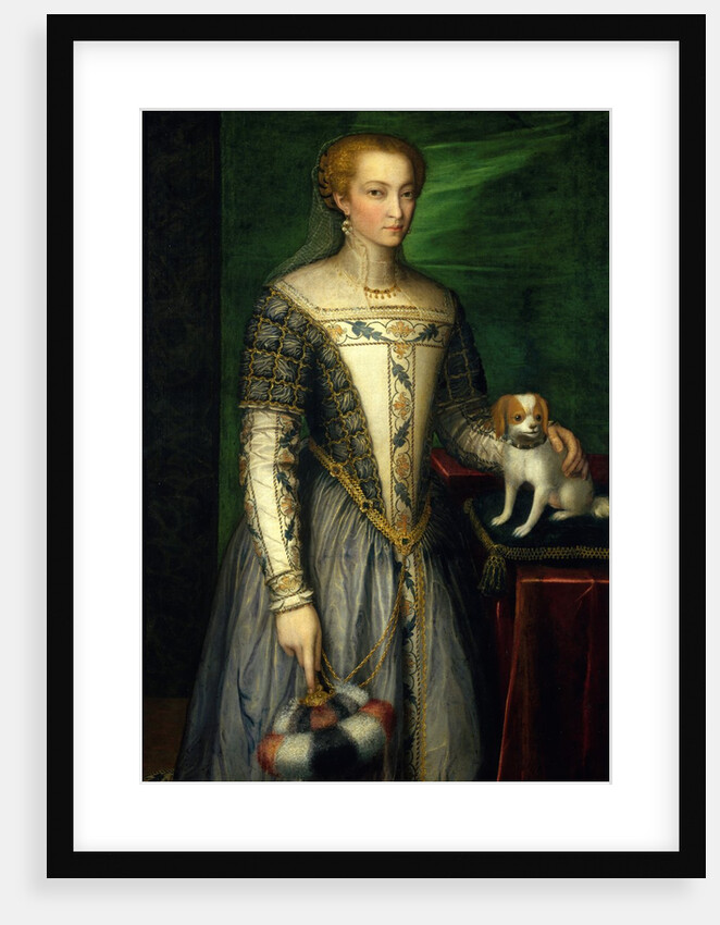 Portrait of a Woman, late 1560s by Bernardino Campi