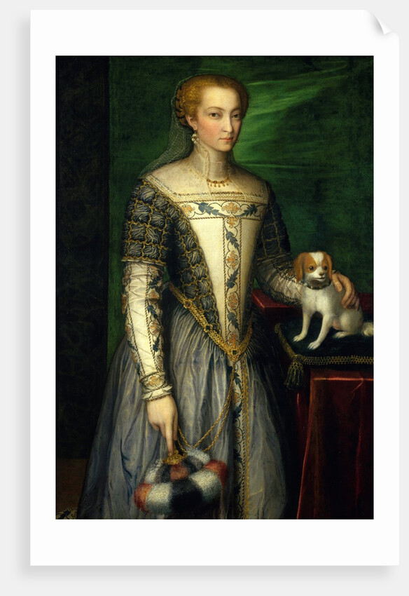 Portrait of a Woman, late 1560s by Bernardino Campi