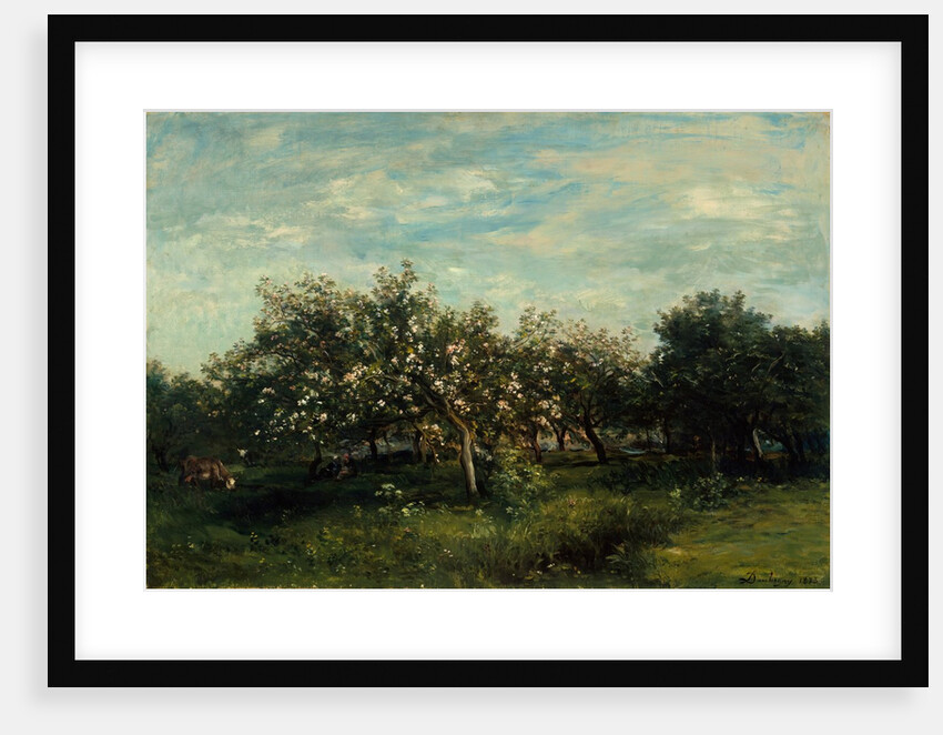 Apple Blossoms, 1873 by Charles Francois Daubigny