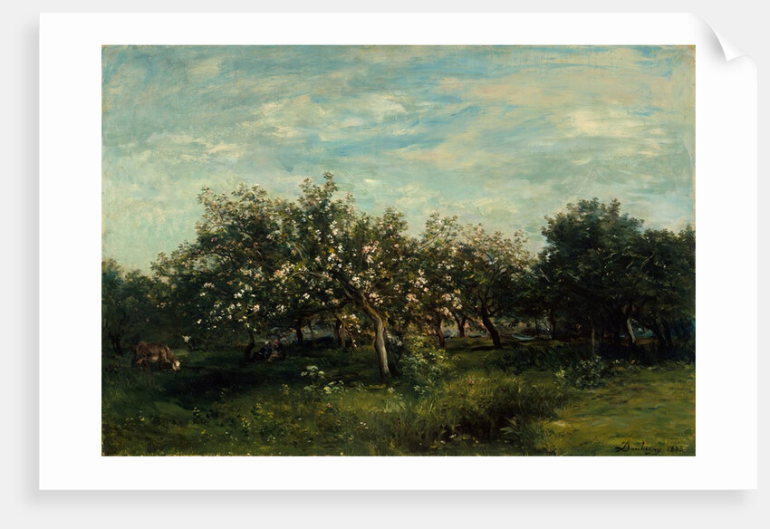 Apple Blossoms, 1873 by Charles Francois Daubigny