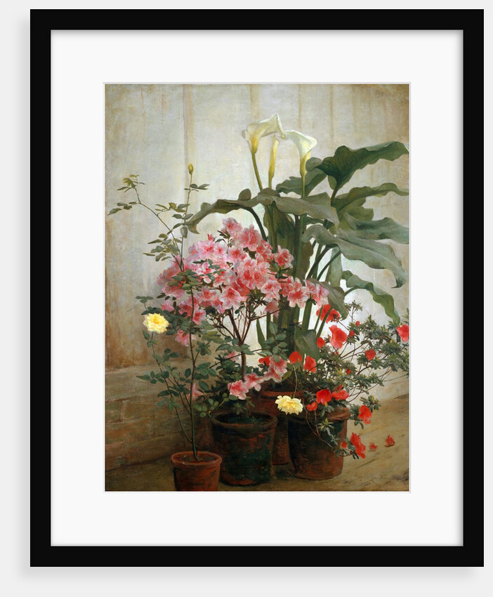 Side of a Greenhouse, 1870-80 by George Cochran Lambdin