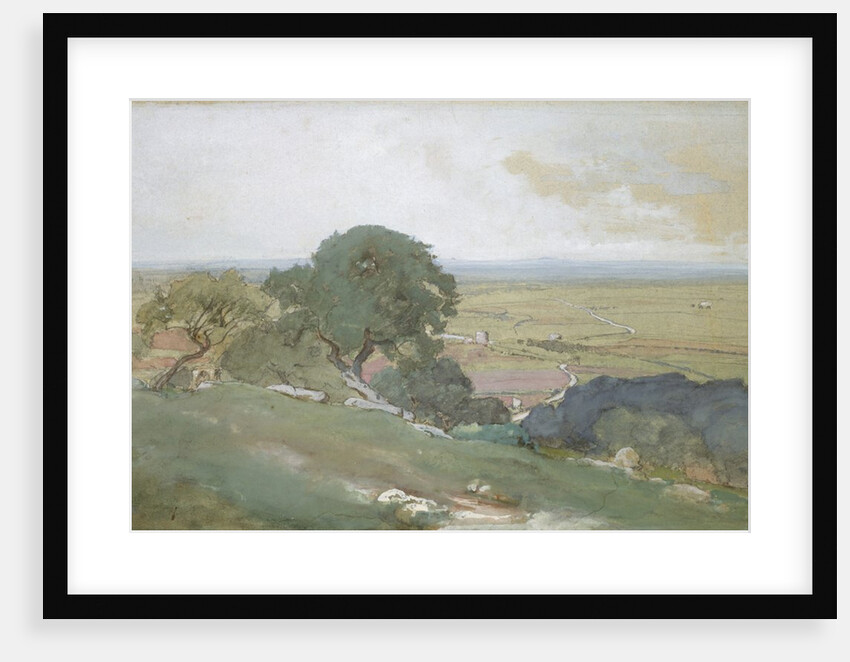Olive Trees at Tivoli, 1873 by George Inness