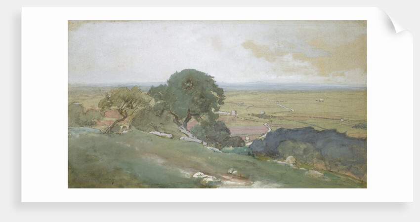 Olive Trees at Tivoli, 1873 by George Inness