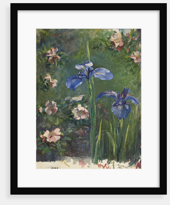 Wild Roses and Irises, 1887 by John La Farge