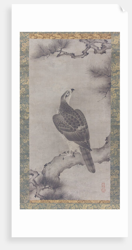 Hawk on a Pine, 16th century by Kano Yukinobu