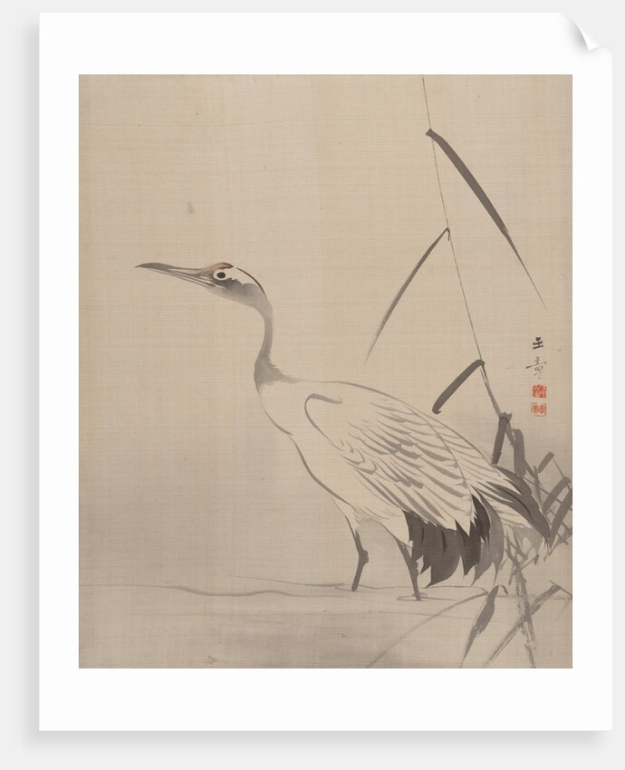 Crane Among Reeds, 1887-92 by Gyokusho Kawabata